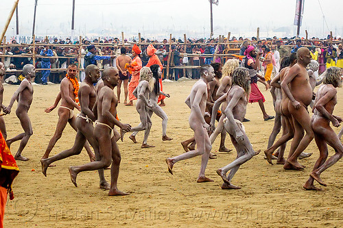 naked hindu devotees running towards the ganges river - kumbh mela (india), crowd, hindu pilgrimage, hinduism, holy ash, india, maha kumbh mela, men, naga babas, naga sadhus, running, sacred ash, triveni sangam, vasant panchami snan, vibhuti, walking