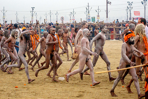 naked hindu devotees running towards the ganges river - kumbh mela (india), crowd, hindu pilgrimage, hinduism, holy ash, kumbh mela, men, naga babas, naga sadhus, running, sacred ash, test1, triveni sangam, vasant panchami snan, vibhuti, walking