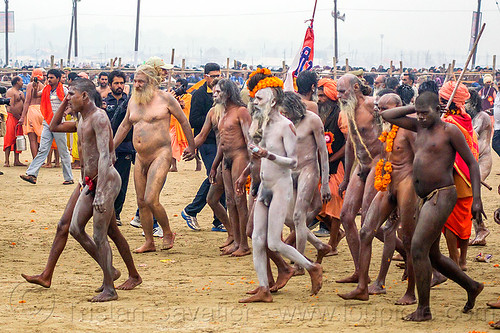 naked hindu devotees walking to the bank of the ganges river - kumbh mela (india), crowd, hindu pilgrimage, hinduism, holy ash, india, maha kumbh mela, men, naga babas, naga sadhus, running, sacred ash, triveni sangam, vasant panchami snan, vibhuti, walking