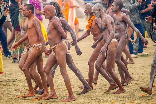 naked hindu devotees walking to the bank of ganges river - kumbh mela (india), crowd, hindu pilgrimage, hinduism, holy ash, india, maha kumbh mela, men, naga babas, naga sadhus, running, sacred ash, triveni sangam, vasant panchami snan, vibhuti, walking