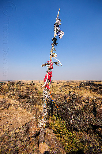 native american offerings on memorial stick - captain jack's stronghold, basalt, captain jack's stronghold, flags, indigenous, landscape, lava beds national monument, memorial, modoc, native american, offerings, pole, rock, stick, tribal, wooden