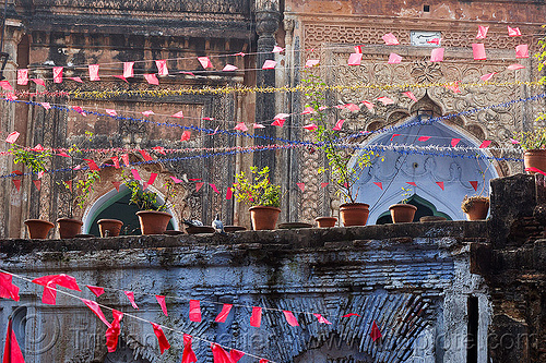 nawabi mahal ruins - lucknow residency (india), architecture, british residency, flag lines, imambara, islam, lucknow, mosque, nawabi mahal, nawabi masjid, plant pots, red flags, ruins, vaults