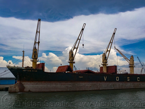 neptune star ship - bulk carrier, boat, cargo ship, docked, ship cranes, surabaya