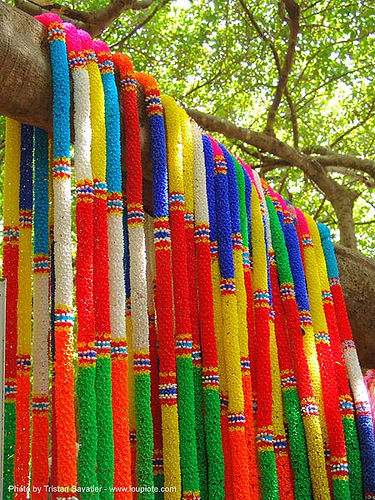 ผ้าแพรเจ็ดสี ต้นไทร พิมาย - offerings - giant banyan tree (near phimai) - thailand, banyan tree, colorful, offerings, ต้นไทร, ผ้าแพรเจ็ดสี, พิมาย