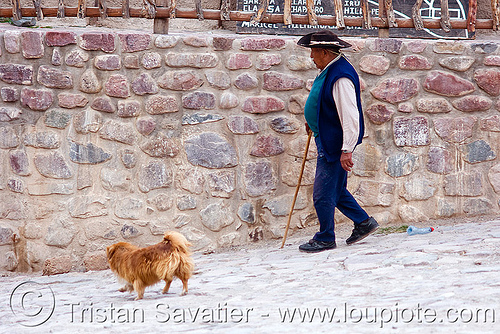 old man walking with dog (argentina), argentina, cane, cobblestones, dog, hat, iruya, noroeste argentino, old man, quebrada de humahuaca, walking stick