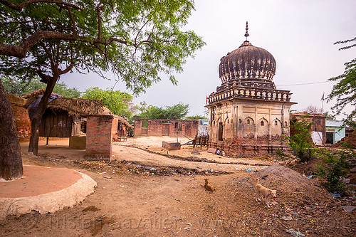 old monument in indian village, dogs, garbage, khoaja phool, monument, plastic trash, shrine, temple, village, खोअजा फूल