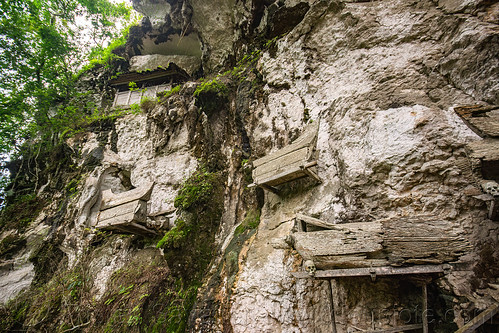 old toraja erong coffins hanging on cliff wall - kete-kesu traditional toraja burial site, cemetery, erong coffins, grave, graveyard, kete kesu burial site, liang, tana toraja, tomb