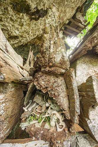 old toraja erong coffins - kete-kesu traditional toraja burial site, cemetery, erong coffins, grave, graveyard, human bones, kete kesu burial site, liang, tana toraja, tomb