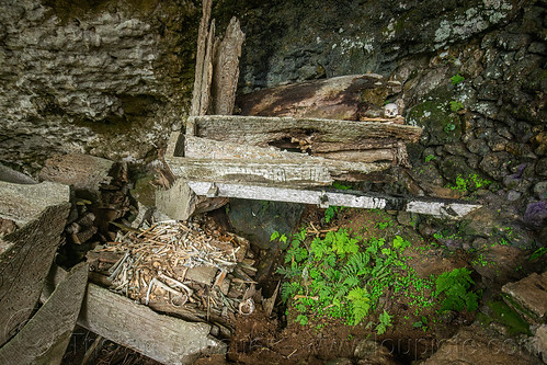 old toraja erong coffins - kete-kesu traditional toraja burial site, cemetery, erong coffins, grave, graveyard, human bones, kete kesu burial site, liang, tana toraja, tomb