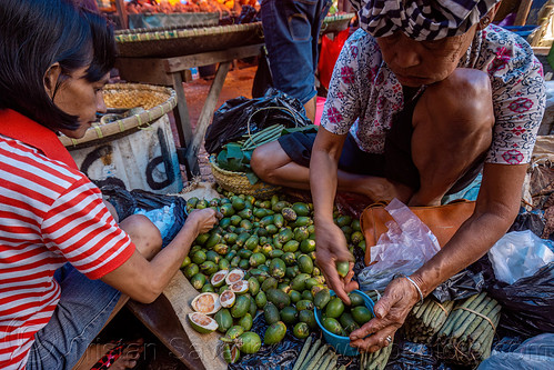 old woman selling betel nut at market, areca nut, betel nut, betel quids, merchant, street market, street seller, tana toraja, vendor, woman