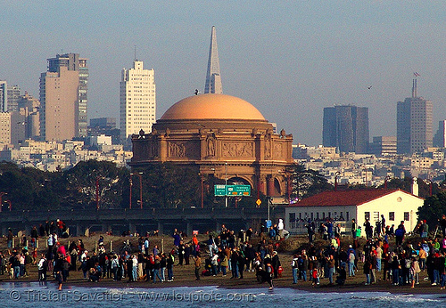 palace of fine arts and san francisco skyline, beach, crissy field, palace of fine arts, san francisco skyline