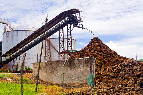 palm oil mill waste, agro-industry, borneo, conveyor belt, malaysia, oil palm bunches, oil palm mill, palm oil mill waste, palm oil waste