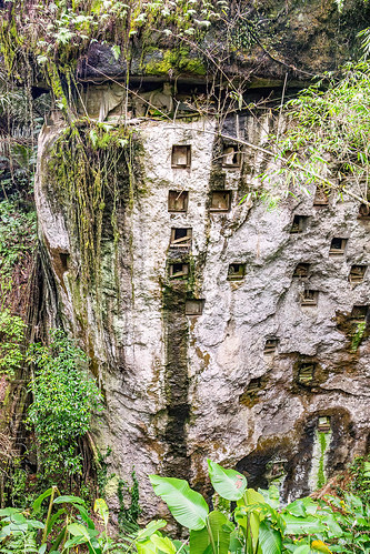 pana' rock-tombs - ancient toraja children burial site, burial site, cemetery, graves, graveyard, liang pak, rock tombs, tana toraja