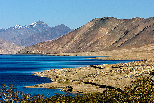 pangong lake - ladakh (india), ladakh, landscape, mountains, pangong lake, pangong tso, spangmik