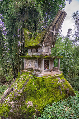 patane toraja tomb in lembang tonga riu, burial site, cemetery, grave, graveyard, lembang tonga riu, liang, tana toraja, tomb, tongkonan roof