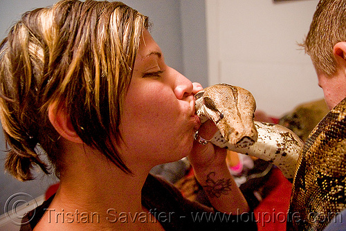 pet boa snake - kissing, boa constrictor, elana, head, kissing, pet snake, woman