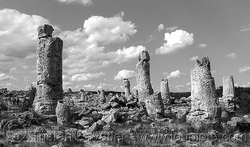 petrified forest (pobiti kamani) near varna (bulgaria), formations, petrified forest, pobiti kamani, rockformations, varna, българия, побити камъни