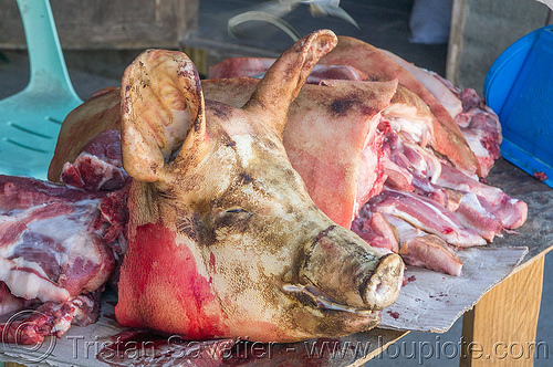 pig head - meat shop - sagada (philippines), meat market, meat shop, pig head, pork meat, raw meat, sagada, stall