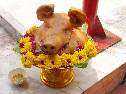 pig head offering - thailand, cooked meat, offering, pig head, pork, temple, wat, yellow flowers