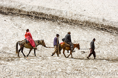 pilgrims on ponies on glacier trail - amarnath yatra (pilgrimage) - kashmir, amarnath yatra, glacier, hiking, hindu pilgrimage, horseback riding, horses, kashmir, kashmiris, mountain trail, mountains, pilgrims, ponies, pony-men, snow, trekking, woman