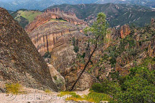 pinnacles national park (california), hiking, pine tree, pinnacles national park, rock formations