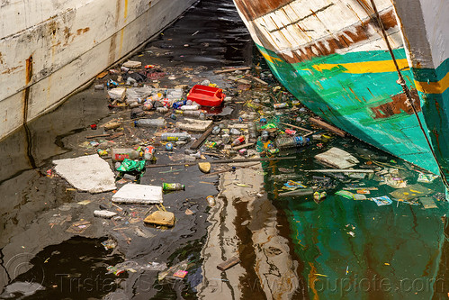 plastic trash floating in makassar harbor, befloating, environment, makassar, plastic trash, pollution, single use plastics
