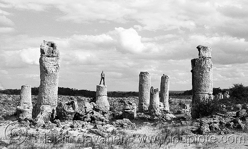 pobiti kamani - "petrified forest" near varna (bulgaria), petrified forest, pobiti kamani, rock formations, varna, българия, побити камъни