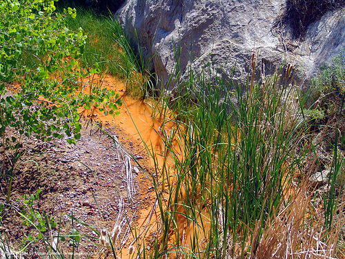 polluted water - environment - quicksilver (mercury) pollution, creek, environment, mercury pollution, mine drainage, orange, river, stream