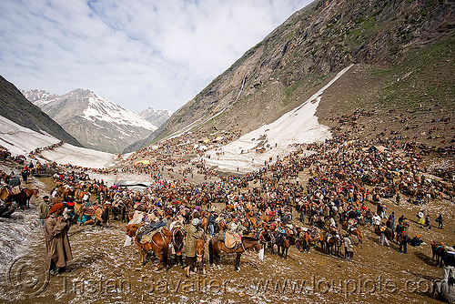 ponies and load bearers - amarnath yatra (pilgrimage) - kashmir, amarnath yatra, crowd, hindu pilgrimage, horses, kashmir, kashmiris, mountains, pilgrims, ponies, pony station, snow, valley