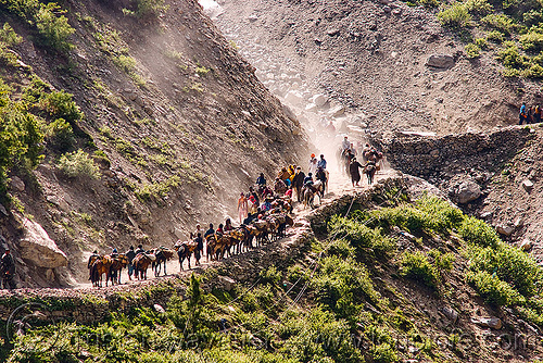 ponies and pilgrims on the trail - amarnath yatra (pilgrimage) - kashmir, amarnath yatra, caravan, crowd, hiking, hindu pilgrimage, horseback riding, horses, kashmir, kashmiris, mountain trail, mountains, pilgrims, ponies, trekking