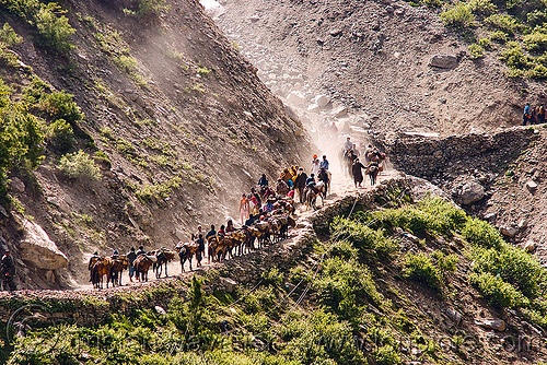 ponies and pilgrims on the trail - amarnath yatra (pilgrimage) - kashmir, amarnath yatra, caravan, crowd, hindu pilgrimage, horseback riding, horses, kashmir, kashmiris, mountain trail, mountains, pilgrims, ponies