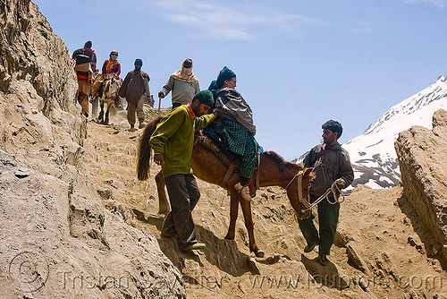 ponies and pilgrims on the trail - amarnath yatra (pilgrimage) - kashmir, amarnath yatra, caravan, hindu pilgrimage, horseback riding, horses, kashmir, kashmiris, mountain trail, mountains, pilgrims, ponies