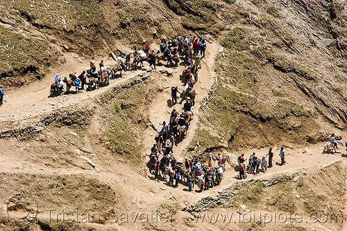 ponies and pilgrims on the trail - amarnath yatra (pilgrimage) - kashmir, amarnath yatra, bends, caravan, crowd, hindu pilgrimage, horseback riding, horses, kashmir, kashmiris, mountain trail, mountains, pilgrims, ponies, switch-backs