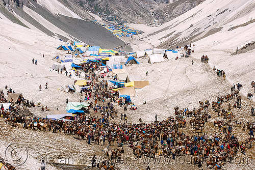 ponies and pilgrims on the trail - amarnath yatra (pilgrimage) - kashmir, amarnath yatra, encampment, glacier, hindu pilgrimage, horses, kashmir, kashmiris, mountain trail, mountains, pilgrims, ponies, pony station, snow, tents