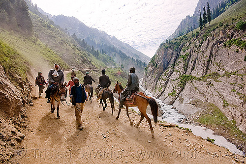 ponies and pilgrims on the trail - amarnath yatra (pilgrimage) - kashmir, amarnath yatra, hiking, hindu pilgrimage, horseback riding, horses, kashmir, kashmiris, mountain trail, mountains, pilgrims, ponies, trekking