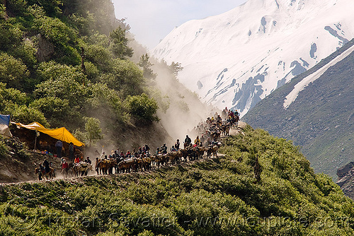 ponies and pilgrims on the trail - amarnath yatra (pilgrimage) - kashmir, amarnath yatra, caravan, crowd, hindu pilgrimage, horseback riding, horses, kashmir, kashmiris, mountain trail, mountains, pilgrims, ponies