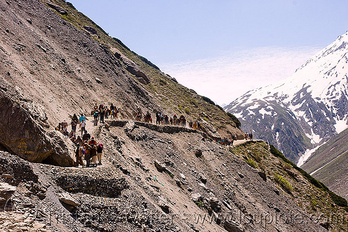 ponies and pilgrims on the trail - amarnath yatra (pilgrimage) - kashmir, amarnath yatra, caravan, crowd, hindu pilgrimage, horseback riding, horses, kashmir, kashmiris, mountain trail, mountains, pilgrims, ponies