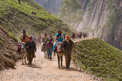 ponies and pilgrims on the trail - yatra - pilgrimage to amarnath cave - kashmir, amarnath yatra, crowd, hiking, hindu pilgrimage, horseback riding, horses, kashmir, kashmiris, mountain trail, mountains, pilgrims, ponies, trekking