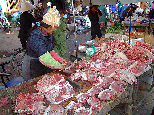 pork meat on the market - vietnam, asian woman, butcher, lang sơn, meat market, meat shop, pig, pork, raw meat, street market, street seller