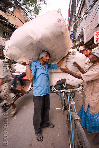 porter - delhi (india), bearer, delhi, freight, india, load, man, porter, wallah
