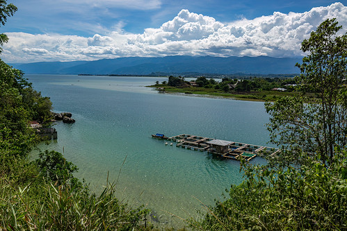 poso lake in central sulawesi, landscape, poso lake