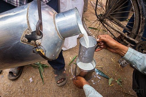 pouring raw milk - metal milk container (india), doodh-wallah, milk man, milk market, pouring, varanasi