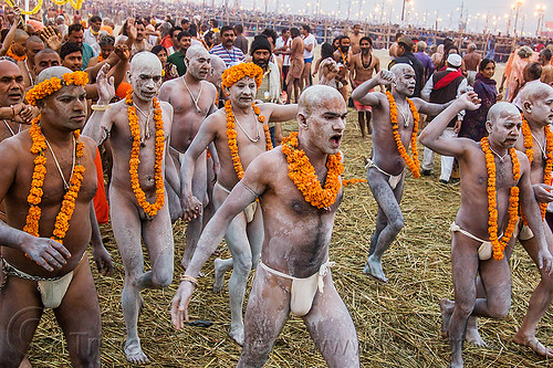 procession of hindu devotees covered with ritual vibhuti sacred ash - kumbh mela 2013 (india), crowd, dawn, flower necklaces, hay, hindu pilgrimage, hinduism, holy ash, india, maha kumbh mela, marigold flowers, men, naga babas, naga sadhus, running, sacred ash, sadhu, screaming, triveni sangam, vasant panchami snan, vibhuti, walking