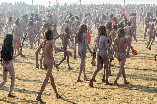 procession of naga babas naked with body covered with ash - kumbh mela (india), crowd, hindu pilgrimage, hinduism, holy ash, india, kumbh maha snan, maha kumbh mela, mauni amavasya, men, naga babas, naga sadhus, sacred ash, triveni sangam, vibhuti, walking