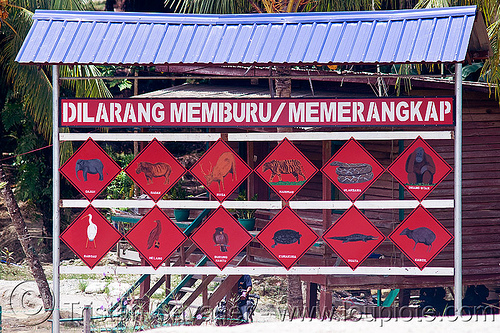 protected species warning sign (borneo), agro-industry, borneo, endangered species, malaysia, no hunting, no poaching, oil palm, plantation, protected species, sukau, warning sign