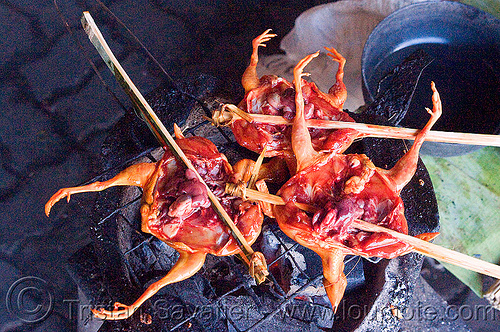 quails on a stick (laos), barbecue, bbq, cooking, grill, laos, poultry, quails, raw meat