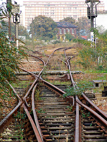 rail switch - petite ceinture abandoned railway (paris), graffiti, paris, rail frogs, rail switches, railroad tracks, railway tracks, trespassing