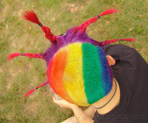 rainbow hair - short with braid spikes, braid, colorful, dani, gay pride festival, rainbow colors, rainbow hair, short