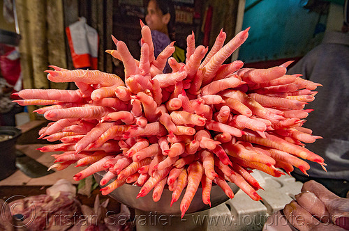 raw chicken feet (philippines), baguio, chicken feet, claws, fingernails, fingers, meat market, nails, philippines, poultry, raw meat