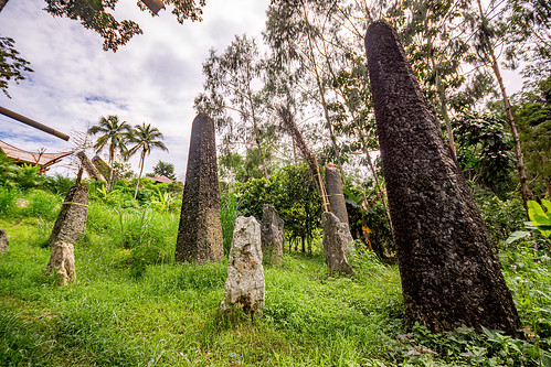 recently erected toraja megalith memorial stones (menhirs) in bori kalimbuang, bori kalimbuang, megaliths, memorial stones, menhirs, simbuang batu, tana toraja
